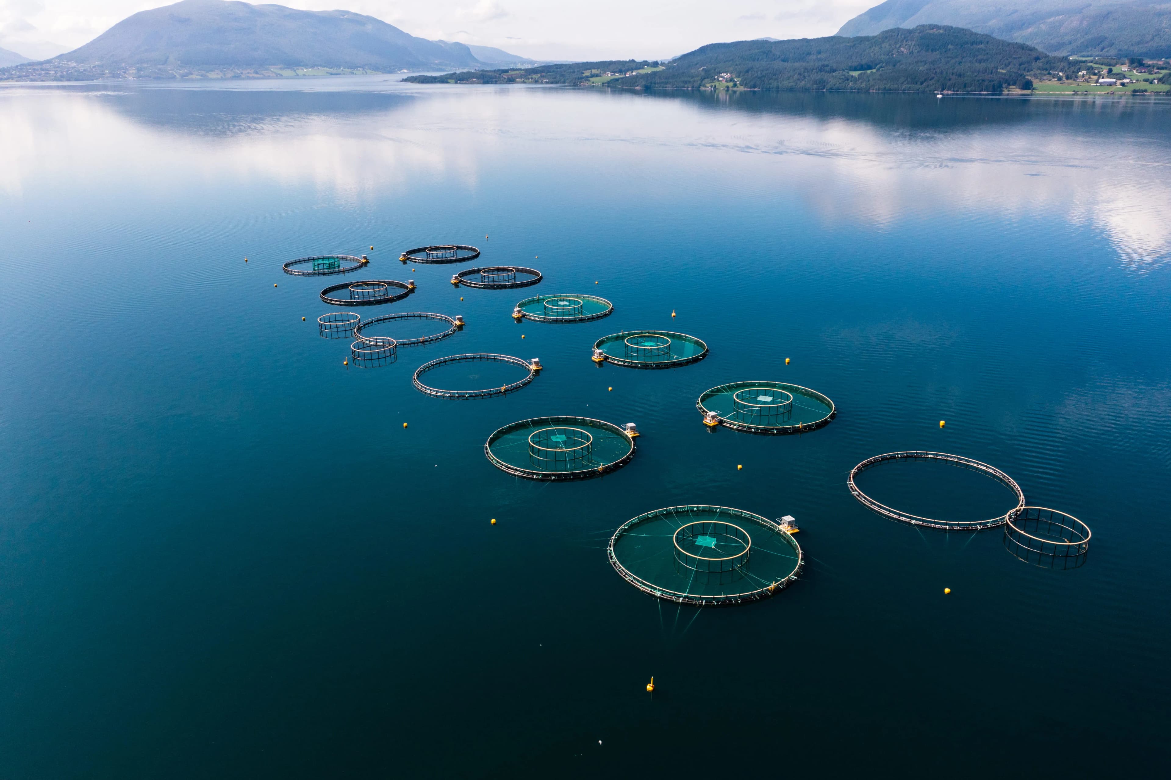 Careers at Isfjord