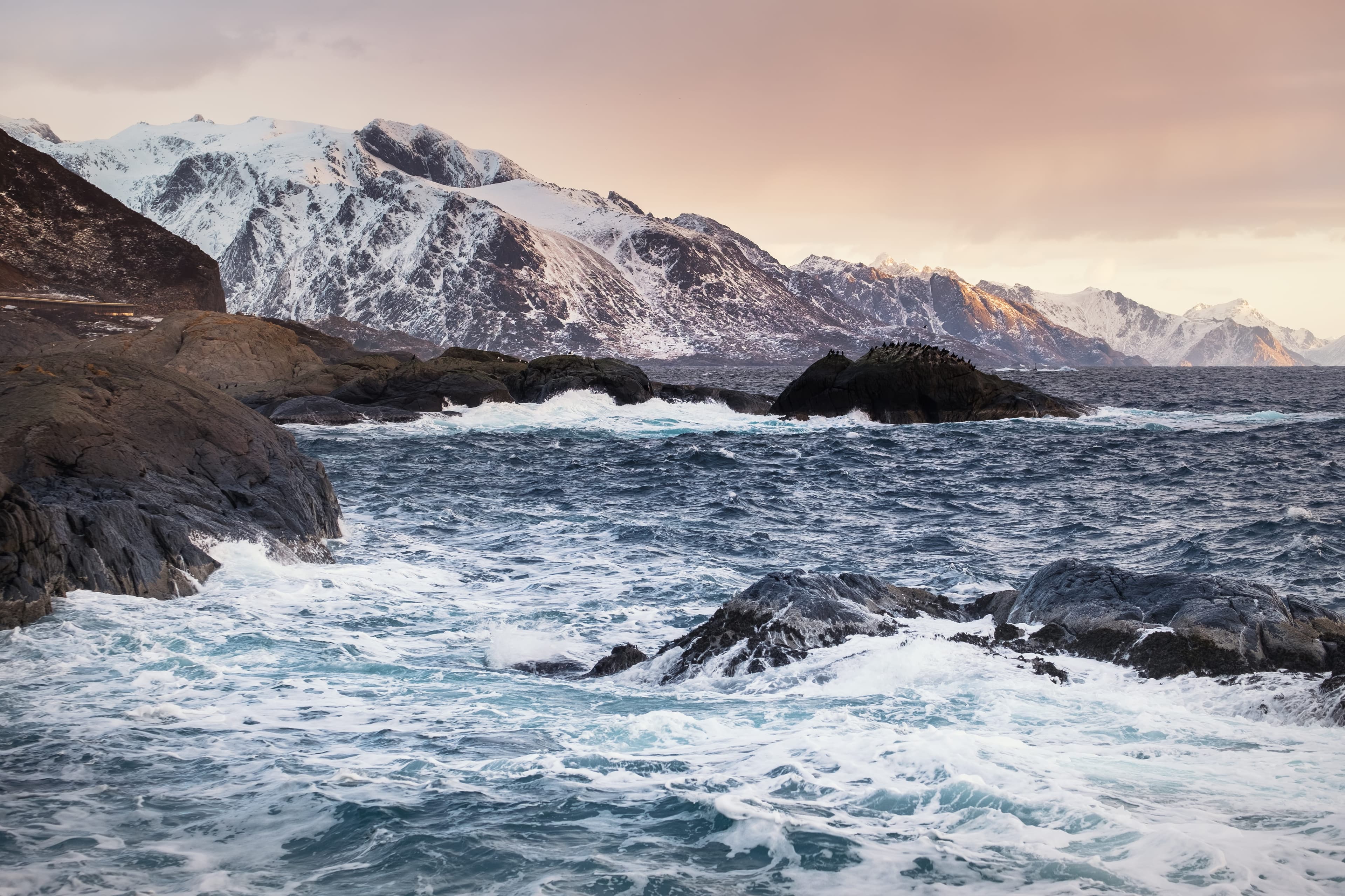 Sustainable salmon farming